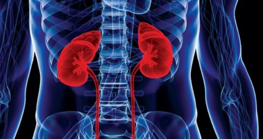 Prevalence of kidney diseases