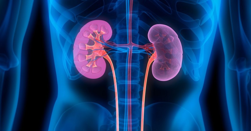 Potassium, phosphorous and fluid restriction in kidney diseases