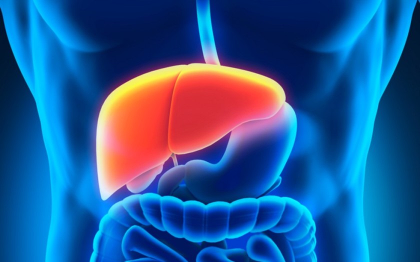 Importance of liver in our body
